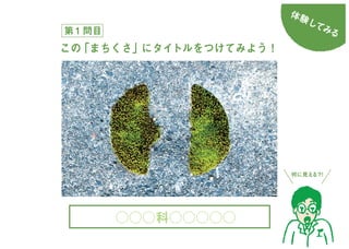 まちくさ入門-まちで「あそぶ」新体験