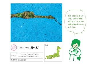 まちくさ入門-まちで「あそぶ」新体験