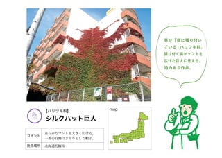 まちくさ入門-まちで「あそぶ」新体験