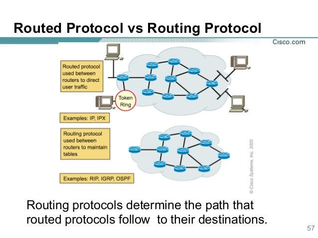 What is the purpose of a routing protocol?