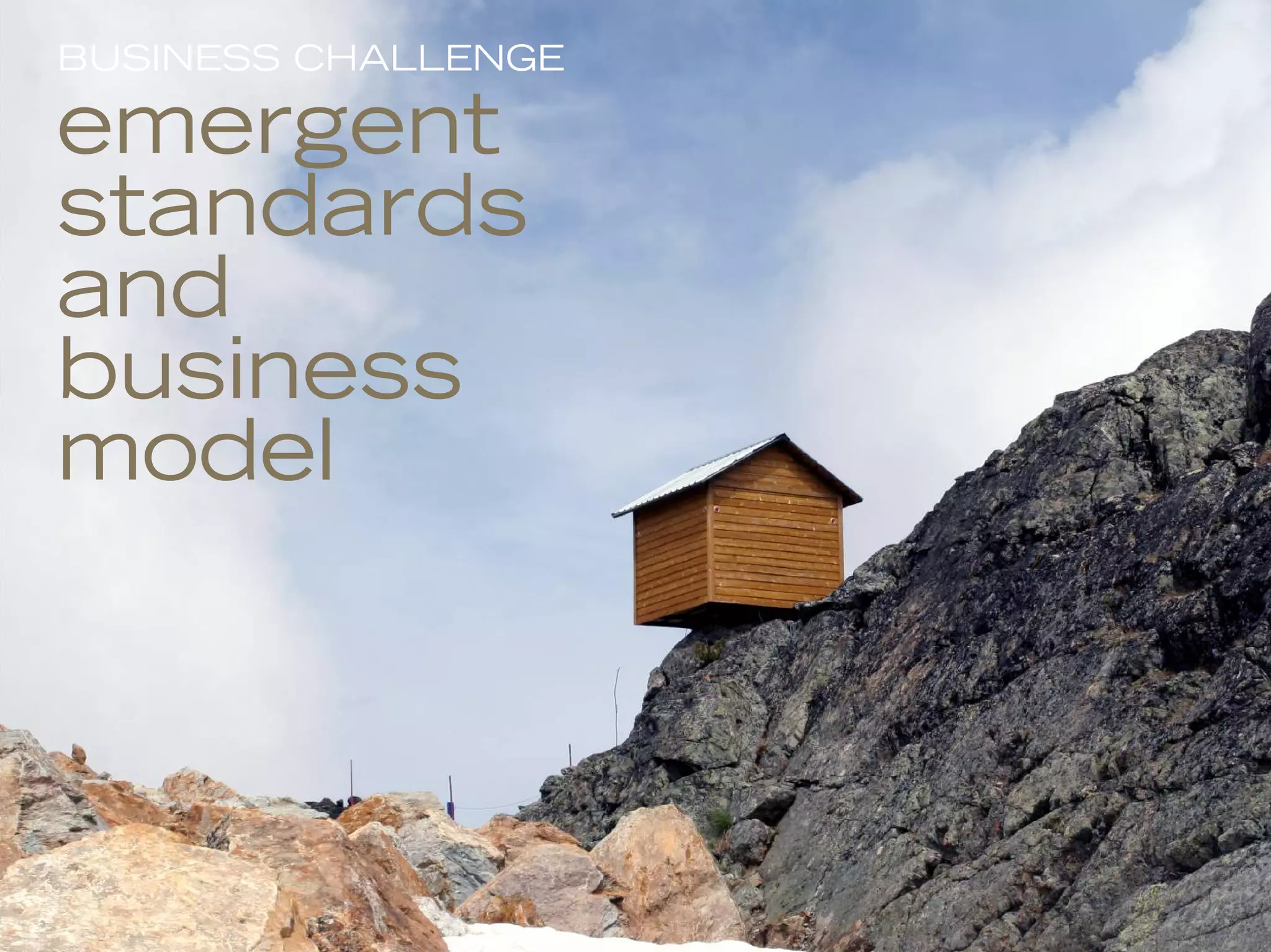 BUSINESS CHALLENGE

emergent
standards
and
business
model




                     17
 