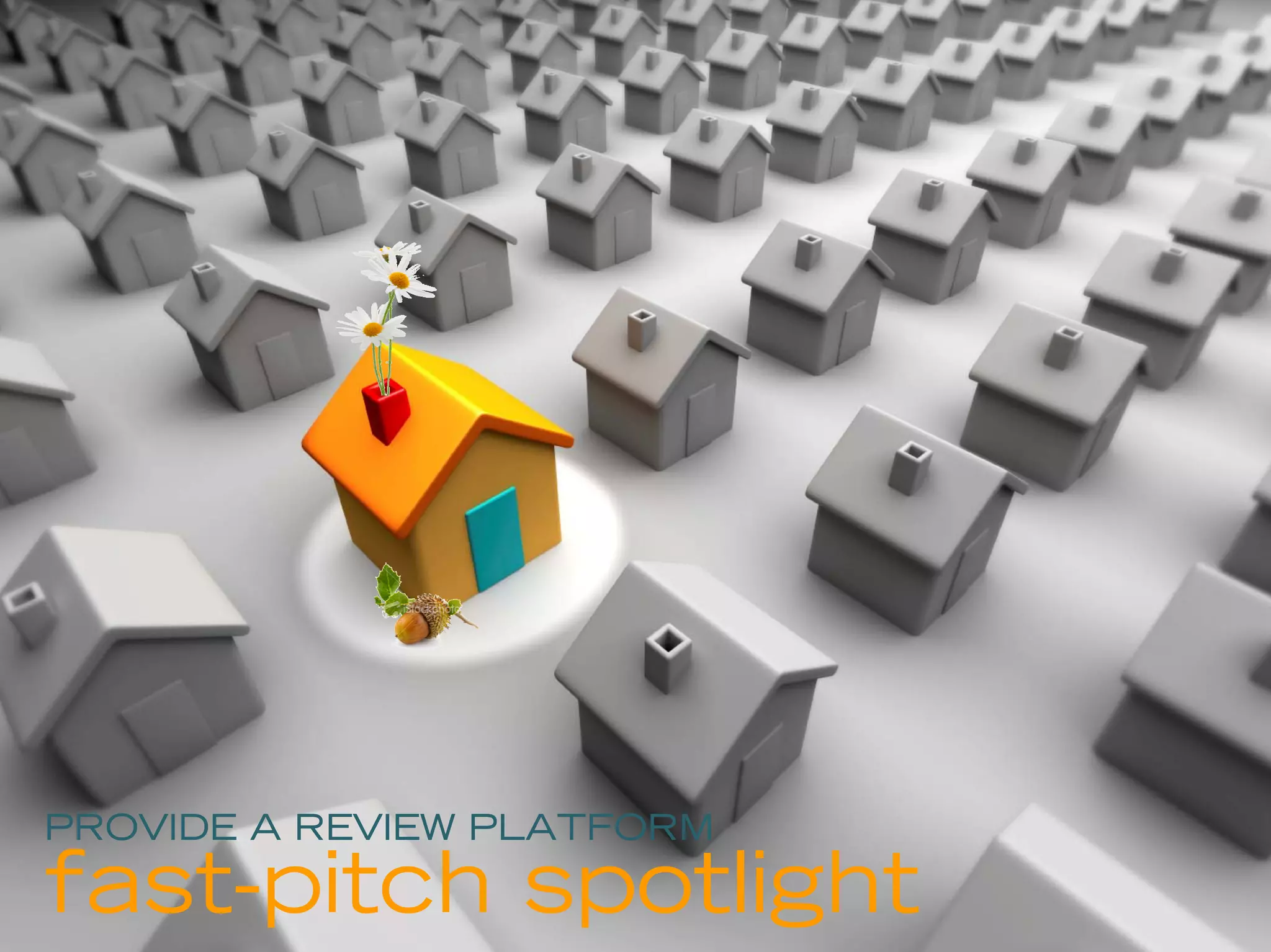 PROVIDE A REVIEW PLATFORM

fast-pitch spotlight        30
 