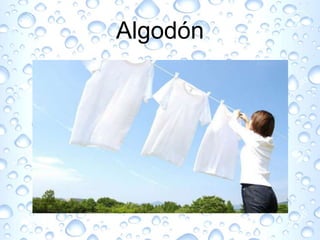 Algodón