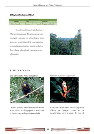 BOSQUE DE DON ABARCA
Es un bosque húmedo tropical situado a
4 km aproximadamente del recinto, comprende
una tupida vegetac...