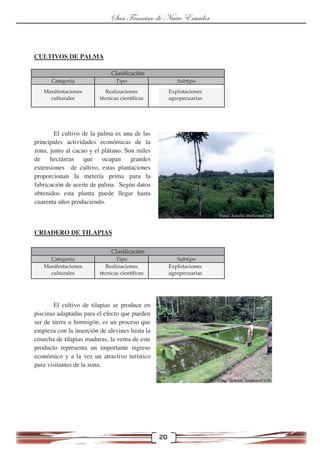 CULTIVOS DE PALMA
El cultivo de la palma es una de las
principales actividades económicas de la
zona, junto al cacao y el ...