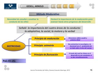 GESELL, ARNOLD                        …        …        …          …



                                     Método Madurativo
   Necesidad de estudiar y analizar la                     Destacó la importancia de la maduración para
    conducta de los niños                                  avanzar hacia otros progresos del desarrollo

                Señaló la importancia del cuatro áreas de la conducta:
                    la adaptativa, la social, la motora y la verbal

                                   Principio de maduración                            Direcciones céfalo-caudal y
                                                                                         próximo distal

                                                                                     Dos asimetrías la neurológica y la
   MOTRICIDAD                     Principio asimetría                                  funcional con el predominio de
                                                                                       un lado sobre el otro del cuerpo


                                                                                      A través del cual los ritmos en el
                                  Principio de fluctuación                               desarrollo no son constantes ni
                                                                                         se dan simultáneamente.

País-EE.UU.


                             Aurora Fernández del Valle y Susana Irazusta Adarraga, 2012                             16
 
