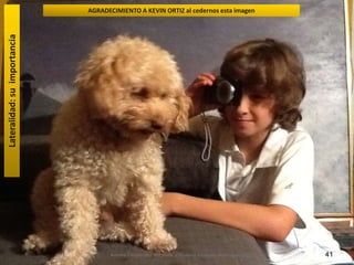 Lateralidad: su importancia   AGRADECIMIENTO A KEVIN ORTIZ al cedernos esta imagen




                                    Aurora Fernández del Valle y Susana Irazusta Adarraga, 2012   41
 