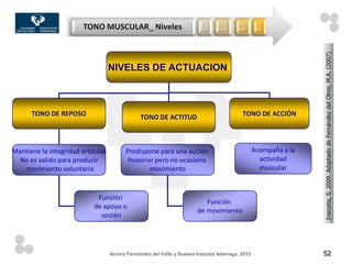 TONO MUSCULAR_ Niveles                           …       …       …        …




                                                                                                                 Irazusta, S. 2009. Adaptado de Fernández del Olmo, M.A. (2007)
                                   NIVELES DE ACTUACION



      TONO DE REPOSO                           TONO DE ACTITUD                            TONO DE ACCIÓN




Mantiene la integridad articular         Predispone para una acción                              Acompaña a la
  No es valido para producir              Posterior pero no ocasiona                               actividad
   movimiento voluntario                          movimiento                                       muscular



                            Función
                                                                          Función
                           de apoyo o
                                                                       de movimiento
                             sostén




                                   Aurora Fernández del Valle y Susana Irazusta Adarraga, 2012                   52
 