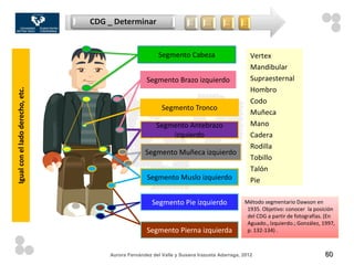 CDG _ Determinar                    …      …       …      …




                                                          Segmento Cabeza                       Vertex
                                                                                                Mandibular
                                                     Segmento Brazo izquierdo                   Supraesternal
                                                                                                Hombro
Igual con el lado derecho, etc.




                                                                                                Codo
                                                           Segmento Tronco
                                                                                                Muñeca
                                                         Segmento Antebrazo                     Mano
                                                             izquierdo                          Cadera
                                                                                                Rodilla
                                                    Segmento Muñeca izquierdo
                                                                                                Tobillo
                                                                                                Talón
                                                     Segmento Muslo izquierdo                   Pie

                                                       Segmento Pie izquierdo                Método segmentario Dawson en
                                                                                              1935. Objetivo: conocer la posición
                                                                                              del CDG a partir de fotografías. (En
                                                                                              Aguado., Izquierdo.; González, 1997,
                                                     Segmento Pierna izquierda                p. 132-134) .



                                      Aurora Fernández del Valle y Susana Irazusta Adarraga, 2012                            60
 