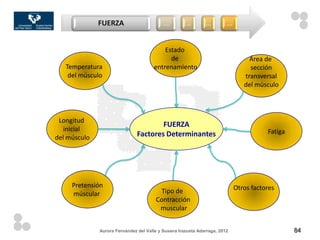 FUERZA                       …         …        …         …


                                           Estado
                                             de                                  Área de
   Temperatura                         entrenamiento                             sección
    del músculo                                                                transversal
                                                                               del músculo




 Longitud
                                       FUERZA
   inicial                                                                             Fatiga
del músculo                    Factores Determinantes




     Pretensión                                                             Otros factores
     múscular                            Tipo de
                                       Contracción
                                        muscular


              Aurora Fernández del Valle y Susana Irazusta Adarraga, 2012                       84
 