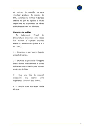 de

enzimas

visualizar

de

restrição

ou

para

produtos da reacção de

PCR. A análise dos padrões de bandas
obtidos no gel de agarose é muito
importante no diagnóstico de várias
doenças genéticas, por exemplo.
Questões de análise
No

Laboratório

Virtual

de

Biotecnologia encontrará dois vídeos
que

ilustram

e

explicam

algumas

etapas da electroforese (canal 4 e 5
da LVBtv).
1 – Descreva o que ocorre durante
uma electroforese.
2 – Enumere as principais vantagens
desta técnica relativamente a outras
utilizadas anteriormente para separar
moléculas de DNA.
3

–

Faça

necessário

uma
para

lista

do

realizar

material
uma

experiência utilizando esta técnica.
4 – Indique duas aplicações desta
técnica.

5

 