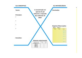 ALA METODOLÓGICA
7

ALA CONCEPTUAL

Teoria:

A concentração em

Conclusões:

agarose do gel
Princípios:

influencia a migração
das moléculas de
DNA?

Registos/Observações:
Pista 1

Conceitos:
Desenho experimental:
Tamanho da
molécula de DNA
300 pb
900 pb
1700 pb

Pista
1

Pista
2

Pista 2

 