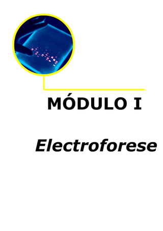 MÓDULO I
Electroforese

 