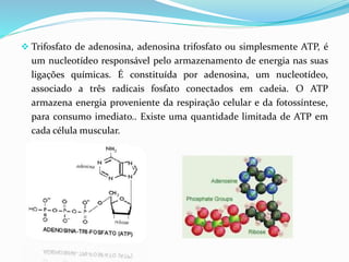  Trifosfato de adenosina, adenosina trifosfato ou simplesmente ATP, é
um nucleotídeo responsável pelo armazenamento de energia nas suas
ligações químicas. É constituída por adenosina, um nucleotídeo,
associado a três radicais fosfato conectados em cadeia. O ATP
armazena energia proveniente da respiração celular e da fotossíntese,
para consumo imediato.. Existe uma quantidade limitada de ATP em
cada célula muscular.
 