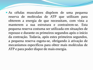  As células musculares dispõem de uma pequena
reserva de moléculas de ATP que utilizam para
obterem a energia de que necessitam, com vista a
manterem a sua estrutura e contraírem-se. Esta
pequena reserva costuma ser utilizada em situações de
repouso e durante os primeiros segundos após o início
da contração. Todavia, após estes primeiros segundos,
a pequena reserva esgota-se, obrigando à ativação de
mecanismos específicos para obter mais moléculas de
ATP e para poder dispor de mais energia.
 