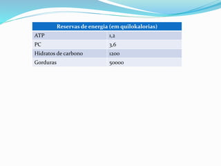 Reservas de energia (em quilokalorias)
ATP 1,2
PC 3,6
Hidratos de carbono 1200
Gorduras 50000
 