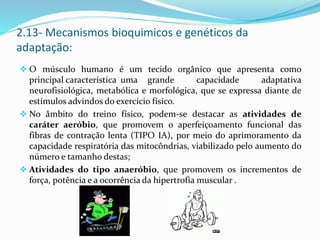 O músculo humano é um tecido orgânico que apresenta como
principal característica uma grande capacidade adaptativa
neurofisiológica, metabólica e morfológica, que se expressa diante de
estímulos advindos do exercício físico.
 No âmbito do treino físico, podem-se destacar as atividades de
caráter aeróbio, que promovem o aperfeiçoamento funcional das
fibras de contração lenta (TIPO IA), por meio do aprimoramento da
capacidade respiratória das mitocôndrias, viabilizado pelo aumento do
número e tamanho destas;
 Atividades do tipo anaeróbio, que promovem os incrementos de
força, potência e a ocorrência da hipertrofia muscular .
2.13- Mecanismos bioquimicos e genéticos da
adaptação:
 