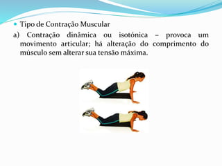  Tipo de Contração Muscular
a) Contração dinâmica ou isotónica – provoca um
movimento articular; há alteração do comprimento do
músculo sem alterar sua tensão máxima.
 
