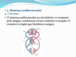  4. Sistema cardiovascular
4.1. Estrutura
 O sistema cardiovascular ou circulatório é composto
pelo sangue, condutores (veias e artérias) e coração. O
coração é o órgão que bombeia o sangue.
 
