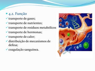  4.2. Função
 transporte de gases;
 transporte de nutrientes;
 transporte de resíduos metabólicos;
 transporte de hormonas;
 transporte de calor;
 distribuição de mecanismos de
defesa;
 coagulação sanguínea.
 