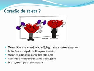 Coração de atleta ?
 Menor FC em repouso (30 bpm!!), logo menor gasto energético;
 Redução mais rápida da FC após exercício;
 Maior volume sistólico/débito cardíaco;
 Aumento do consumo máximo de oxigénio;
 Dilatação e hipertrofia cardíaca.
 