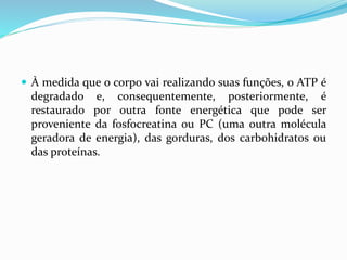  À medida que o corpo vai realizando suas funções, o ATP é
degradado e, consequentemente, posteriormente, é
restaurado por outra fonte energética que pode ser
proveniente da fosfocreatina ou PC (uma outra molécula
geradora de energia), das gorduras, dos carbohidratos ou
das proteínas.
 