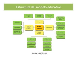 Estructura del modelo educativo
Fuente: UABC (2018)
 