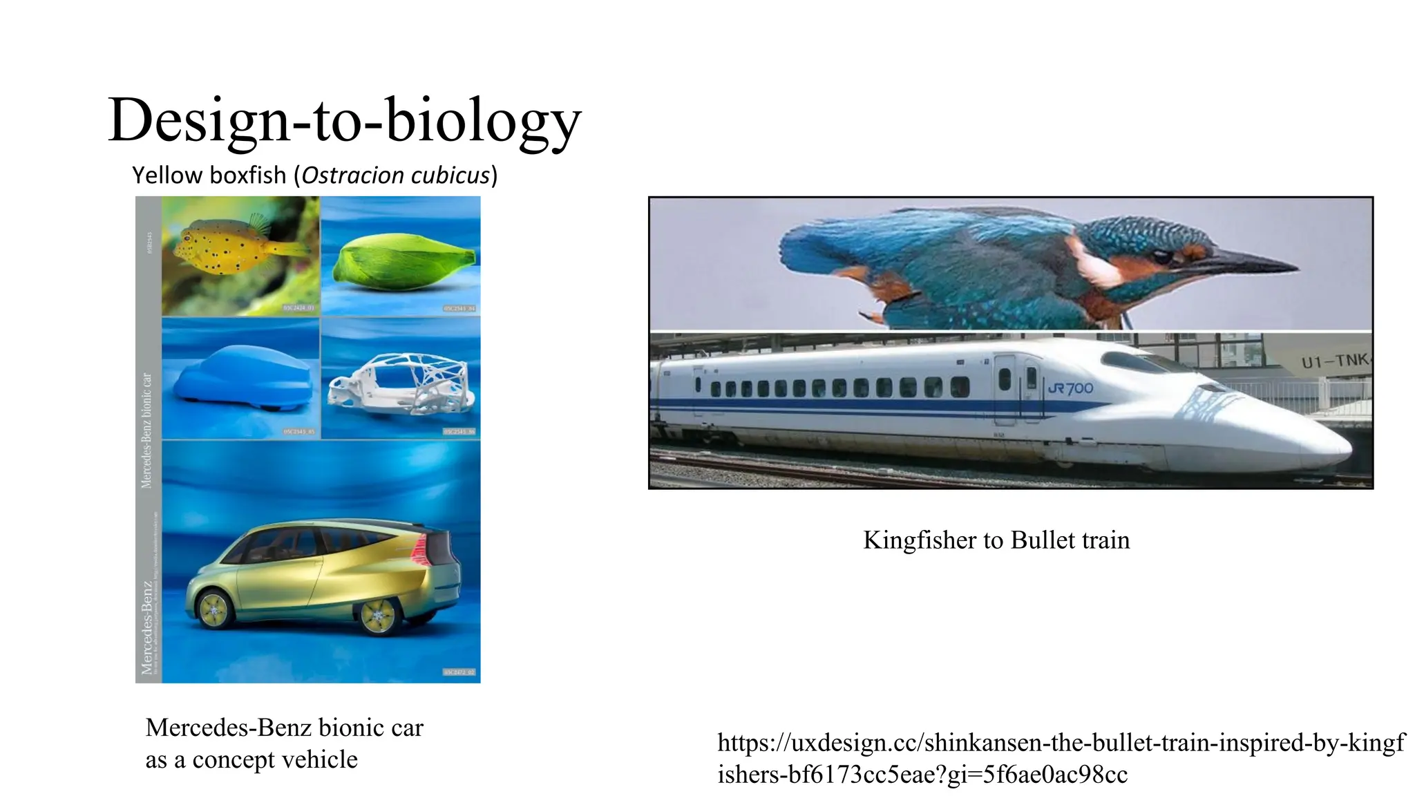 Design-to-biology
Mercedes-Benz bionic car
as a concept vehicle
https://uxdesign.cc/shinkansen-the-bullet-train-inspired-by-kingf
ishers-bf6173cc5eae?gi=5f6ae0ac98cc
Kingfisher to Bullet train
Yellow boxfish (Ostracion cubicus)
 