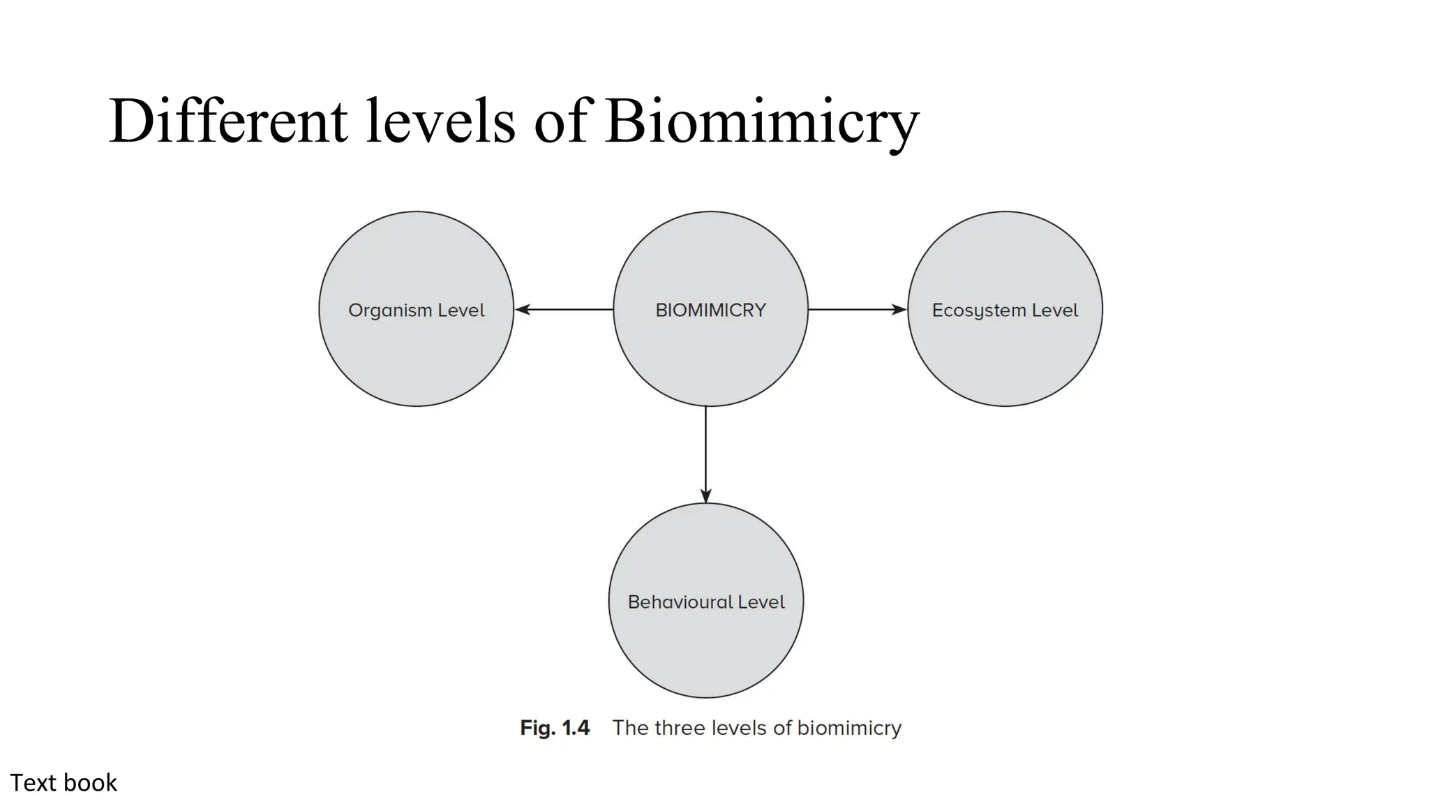 Different levels of Biomimicry
Text book
 
