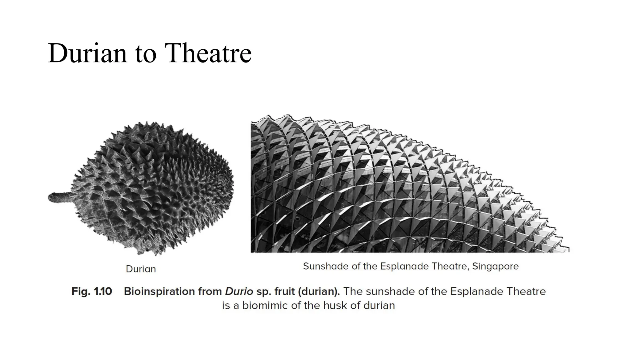 Durian to Theatre
 