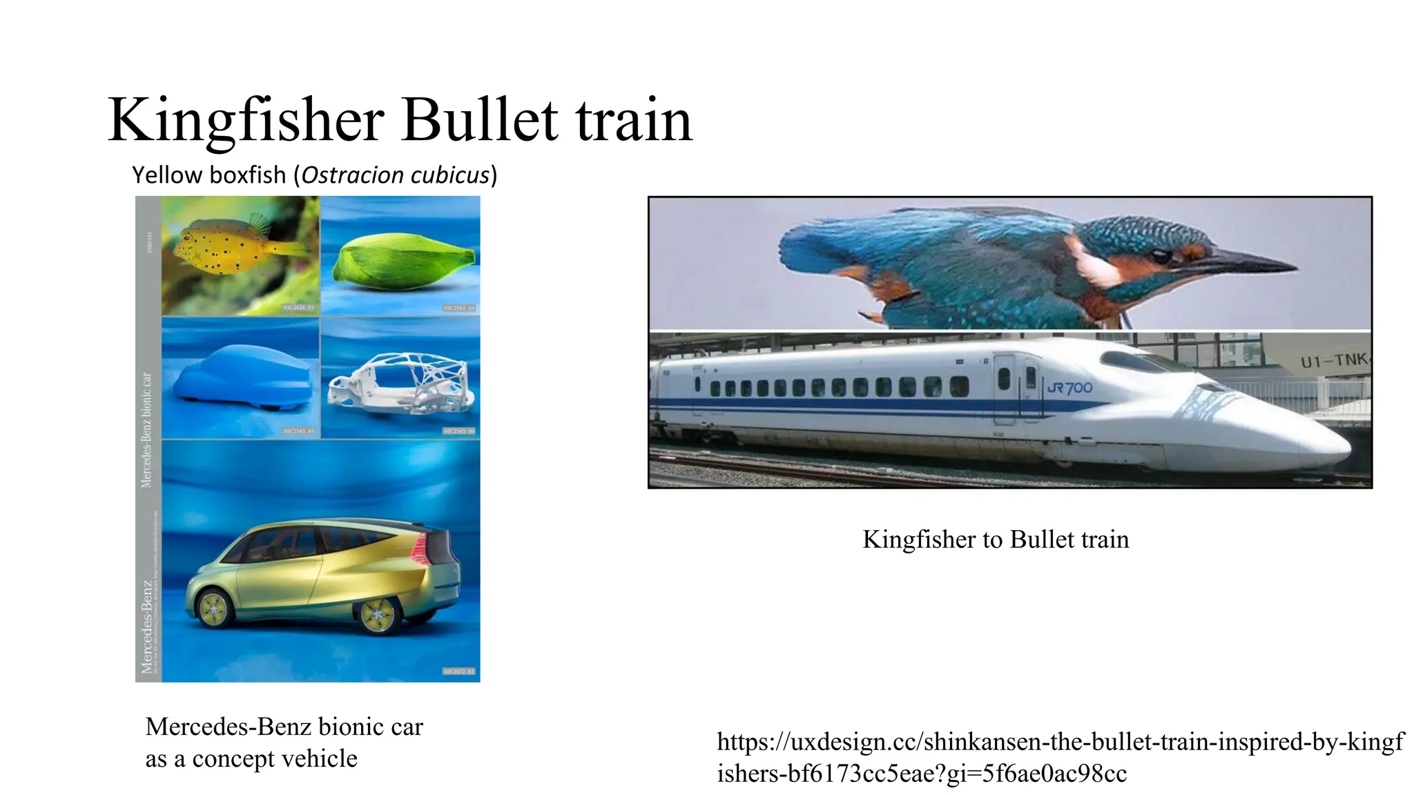 Kingfisher Bullet train
Mercedes-Benz bionic car
as a concept vehicle
https://uxdesign.cc/shinkansen-the-bullet-train-inspired-by-kingf
ishers-bf6173cc5eae?gi=5f6ae0ac98cc
Kingfisher to Bullet train
Yellow boxfish (Ostracion cubicus)
 