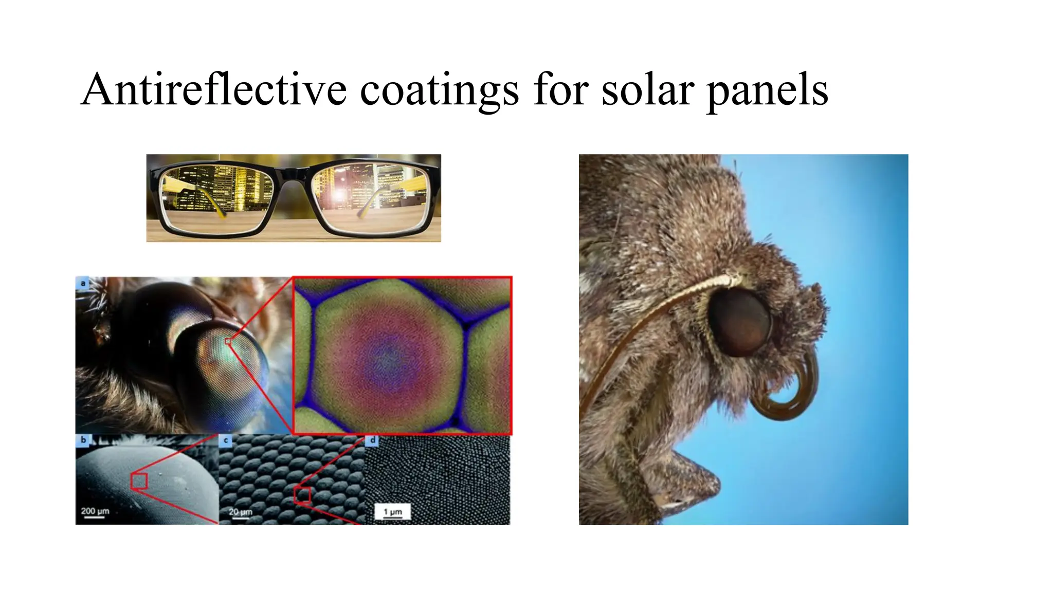Antireflective coatings for solar panels
 