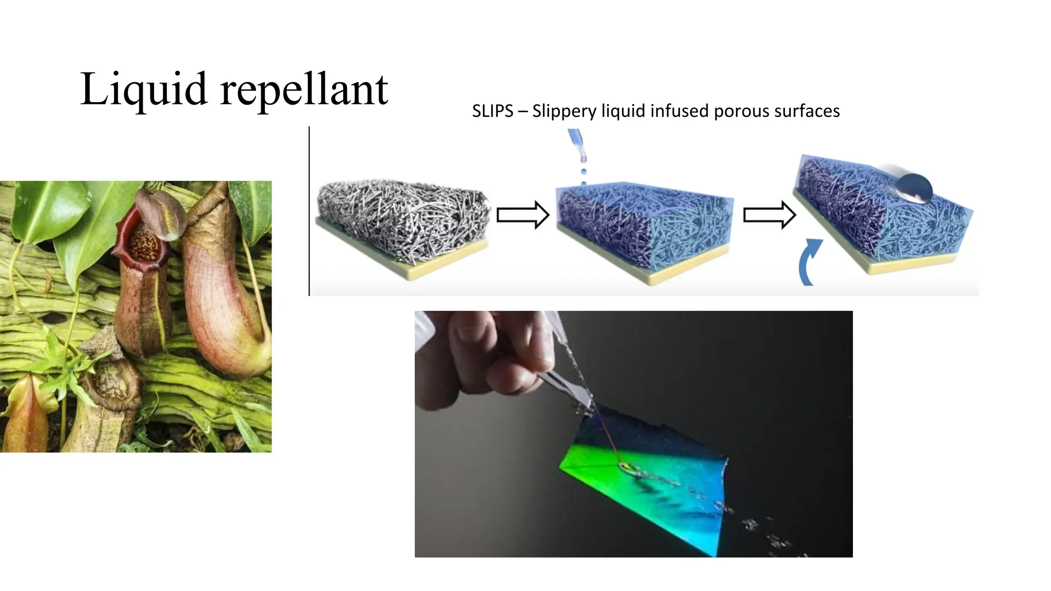 Liquid repellant SLIPS – Slippery liquid infused porous surfaces
 