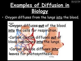 [M1.3] READ - Movement In & Out of Cells (PowerPoint) v1a.ppt
