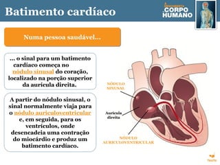 Batimento cardíaco
... o sinal para um batimento
cardíaco começa no
nódulo sinusal do coração,
localizado na porção superior
da aurícula direita.
Numa pessoa saudável...Numa pessoa saudável...
A partir do nódulo sinusal, o
sinal normalmente viaja para
o nódulo auriculoventricular
e, em seguida, para os
ventrículos, onde
desencadeia uma contração
do miocárdio e produz um
batimento cardíaco.
Aurícula
direita
NÓDULO
SINUSAL
NÓDULO
AURICULOVENTRICULAR
 