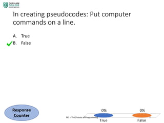 The process of programming | PPT