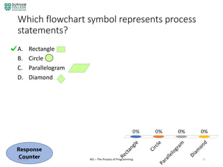 The process of programming | PPT
