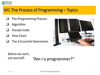 The process of programming | PPT