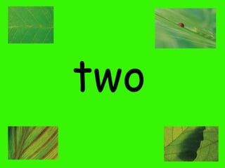 two

 