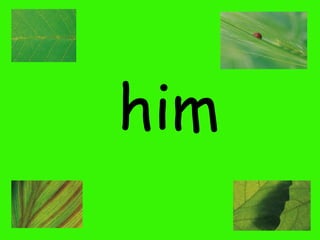 him

 