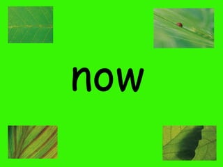 now

 