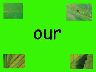 our

 