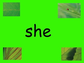 she

 