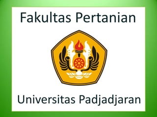 Fakultas Pertanian




Universitas Padjadjaran
 