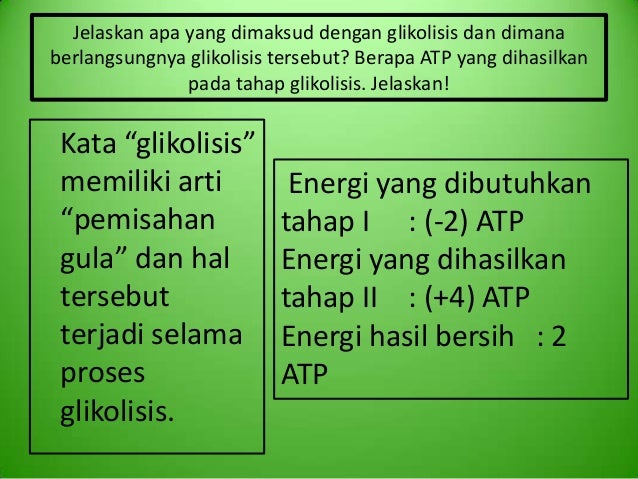 M10 Kelompok 7 Respirasi