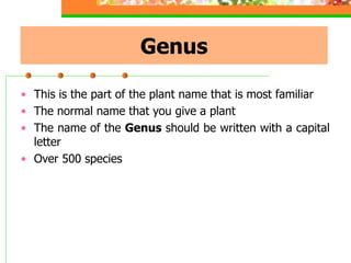 Genus
• This is the part of the plant name that is most familiar
• The normal name that you give a plant
• The name of the Genus should be written with a capital
letter
• Over 500 species
 