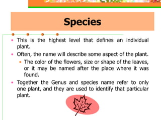 Species
• This is the highest level that defines an individual
plant.
• Often, the name will describe some aspect of the plant.
• The color of the flowers, size or shape of the leaves,
or it may be named after the place where it was
found.
• Together the Genus and species name refer to only
one plant, and they are used to identify that particular
plant.
 