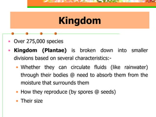 Kingdom
• Over 275,000 species
• Kingdom (Plantae) is broken down into smaller
divisions based on several characteristics:-
• Whether they can circulate fluids (like rainwater)
through their bodies @ need to absorb them from the
moisture that surrounds them
• How they reproduce (by spores @ seeds)
• Their size
 