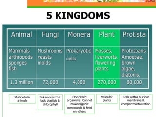 Vascular
plants
5 KINGDOMS
Multicellular
animals
Eukaryotes that
lack plastids &
chlorophyll
One celled
organisms. Cannot
make organic
compounds & feed
on others
Cells with a nuclear
membrane &
compartmentalization
 