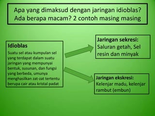 Apa yang dimaksud dengan jaringan idioblas?
   Ada berapa macam? 2 contoh masing masing


                                 Jaringan sekresi:
Idioblas                         Saluran getah, Sel
Suatu sel atau kumpulan sel      resin dan minyak
yang terdapat dalam suatu
jaringan yang mempunyai
bentuk, susunan, dan fungsi
yang berbeda, umunya
menghasilkan zat-zat tertentu    Jaringan ekskresi:
berupa cair atau kristal padat   Kelenjar madu, kelenjar
                                 rambut (embun)
 